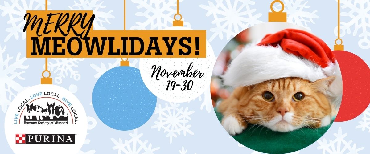 Copy of Meowlidays Graphic Square