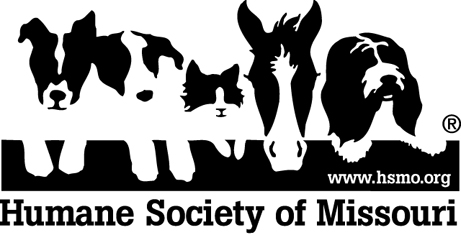 HSMO logo