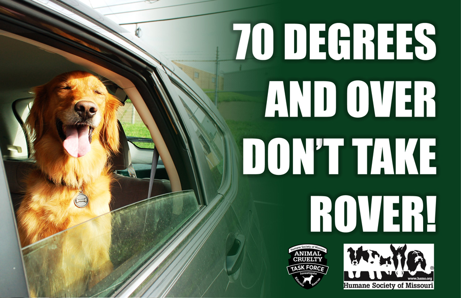 70 degrees and over don't take rover