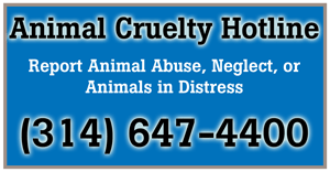 Report Animal Abuse or Neglect