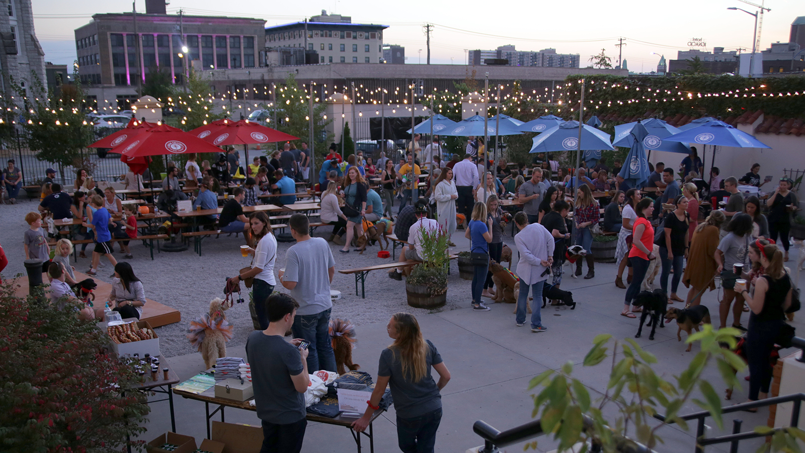 biergarten-total Barktoberfest at Urban Chestnut
