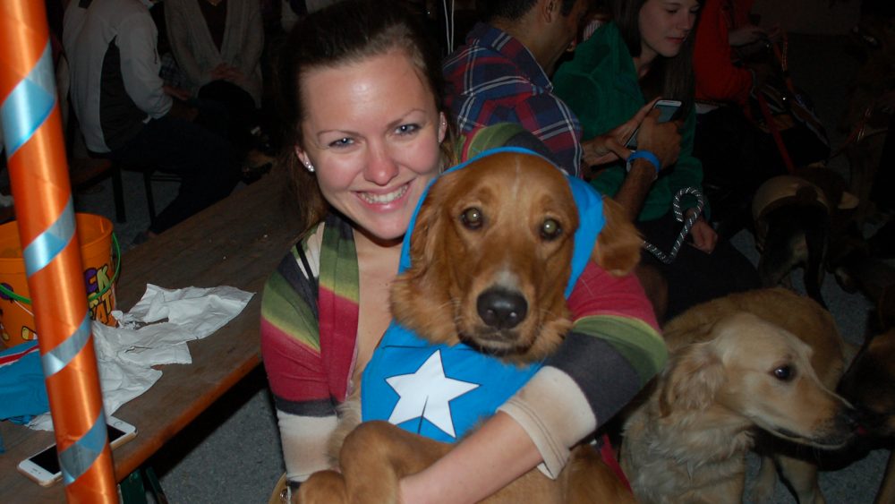 captain-america-golden The dogs of Barktoberfest