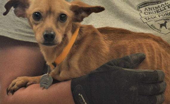 bentoncorescue