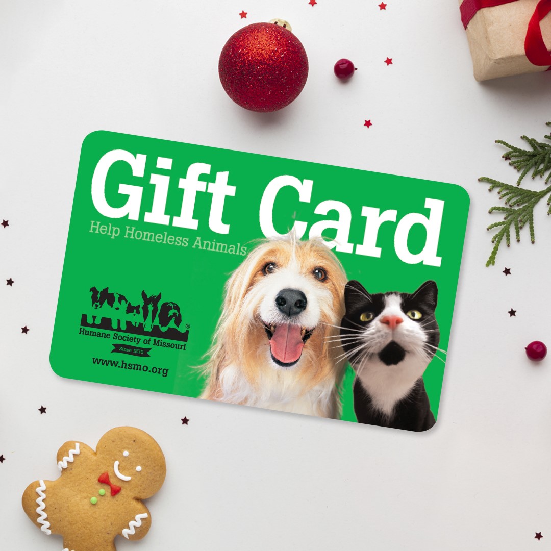 giftcard
