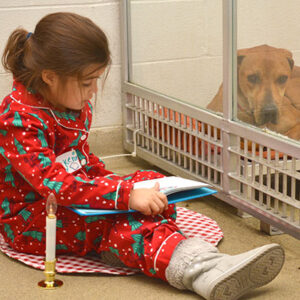 HSMO-shelterbuddie HSMO-shelterbuddie