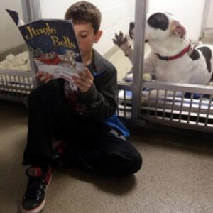 HSMO-shelterbuddy HSMO-shelterbuddy