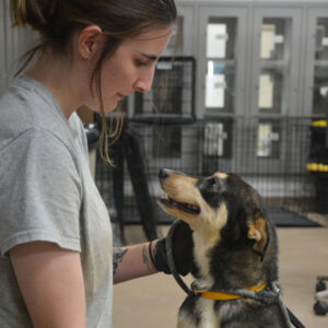 Humane-education-welfare-assistant1 Humane-education-welfare-assistant1