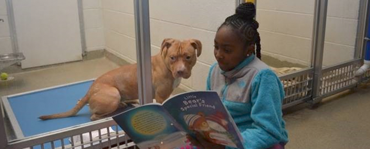 humane society reading
