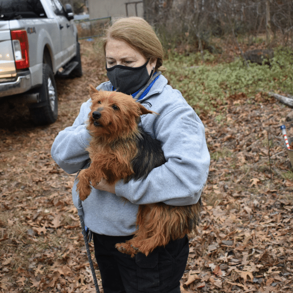 animal breeder working conditions animal breeder working conditions