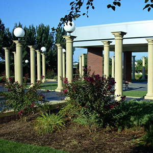 Throop-park Throop-park