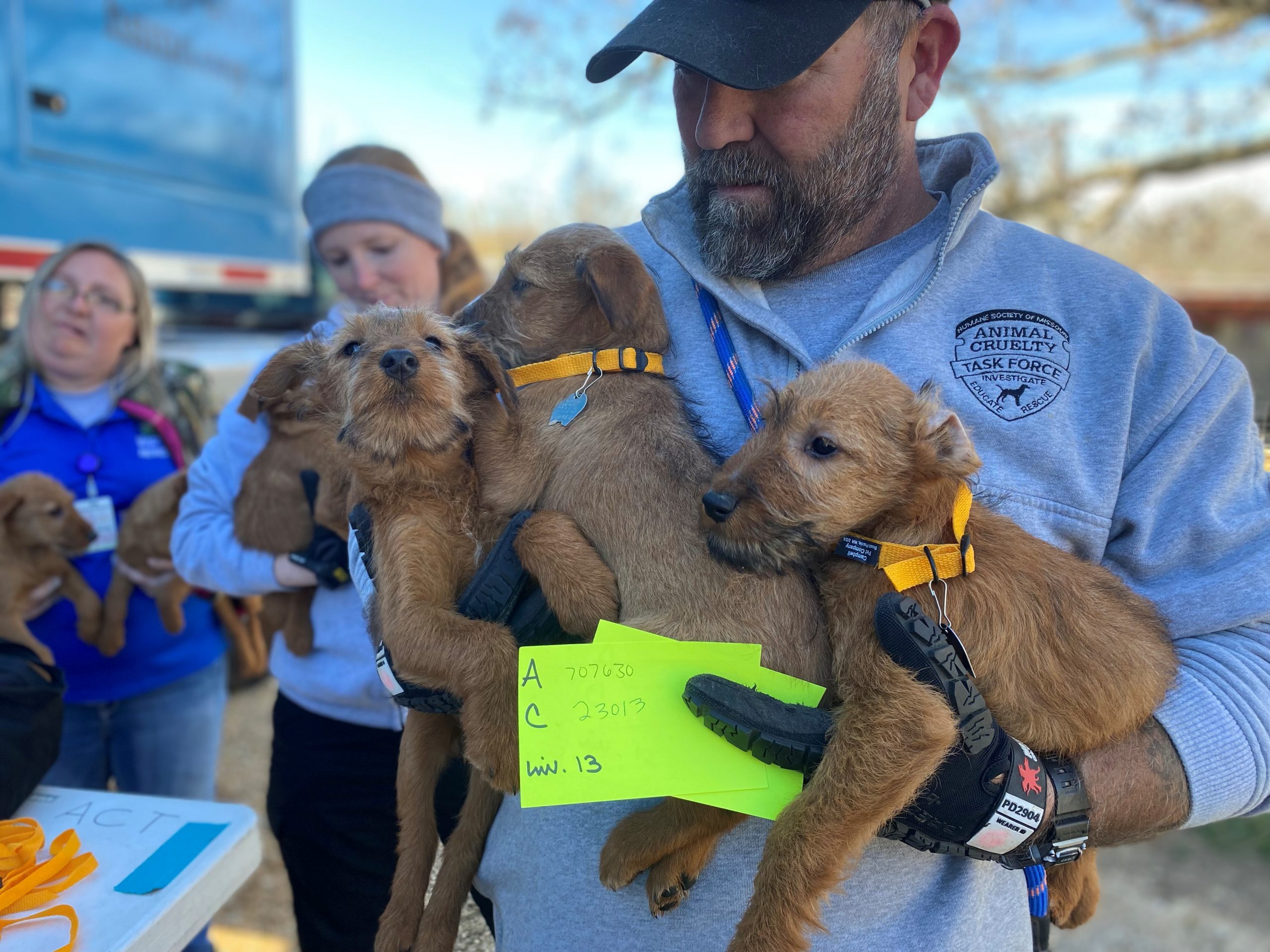 HSMO's Animal Cruelty Task Force Rescues 42 Dogs and Puppies from  Substandard Puppy Mill - Humane Society of Missouri