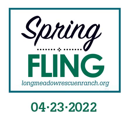 LRR-Spring-fling-logo-sponsor