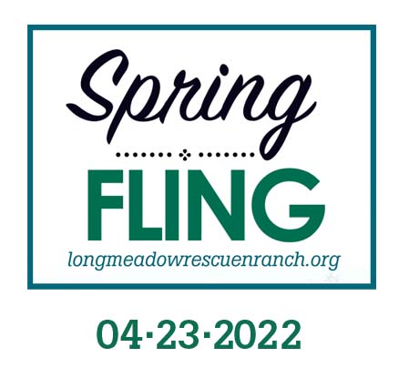 LRR-Spring-fling-logo-sponsor LRR-Spring-fling-logo-sponsor