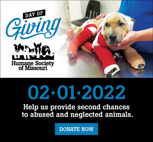 Day of Giving Feb. 1, 2022