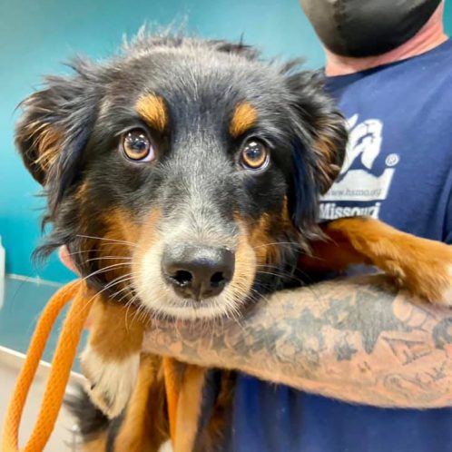 Day-of-Giving-precious-dog Humane Society staff member holding rescued dog in arms