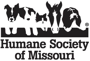 Missouri humane society amerigroup jobs dallas texas