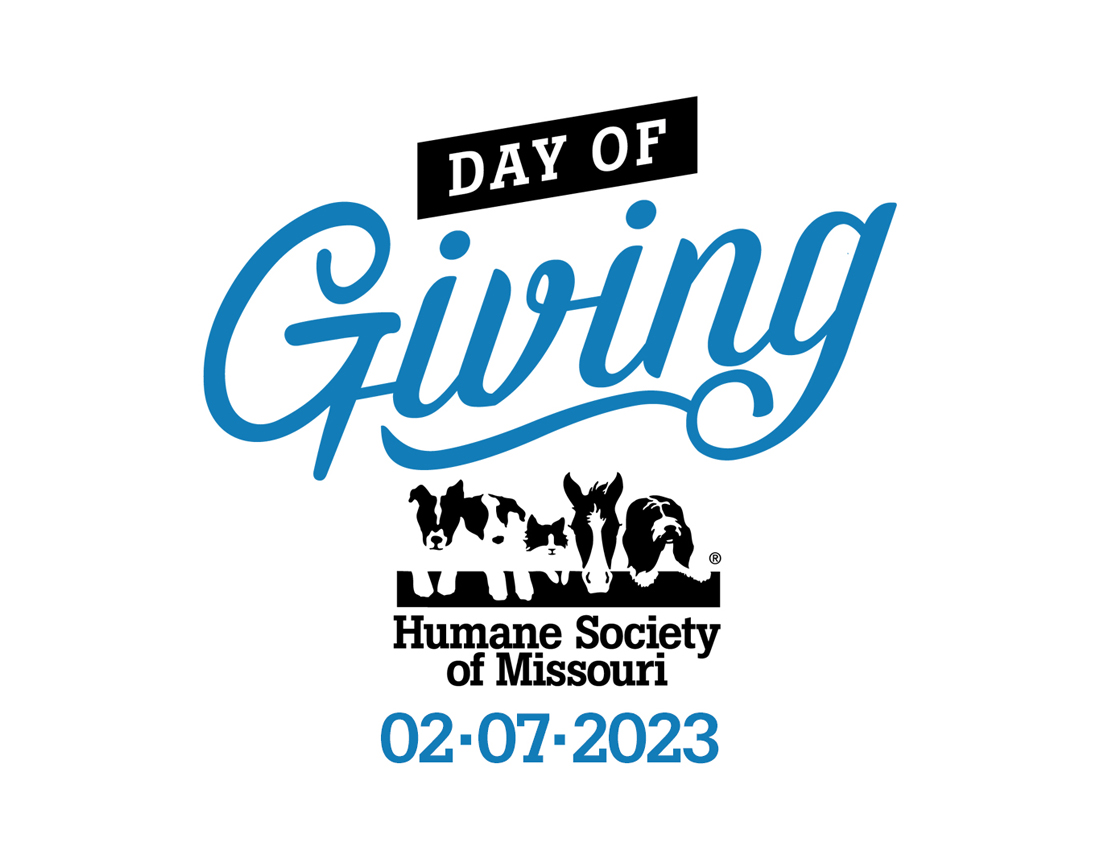 Day of Giving Feb. 7, 2023