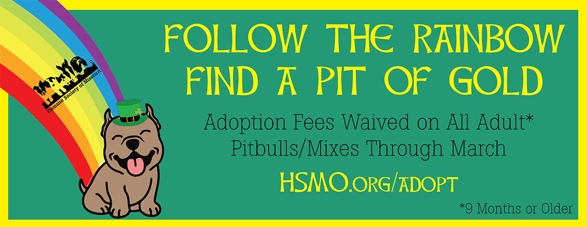 St. Louis Pet Adoption: Humane Society of Missouri