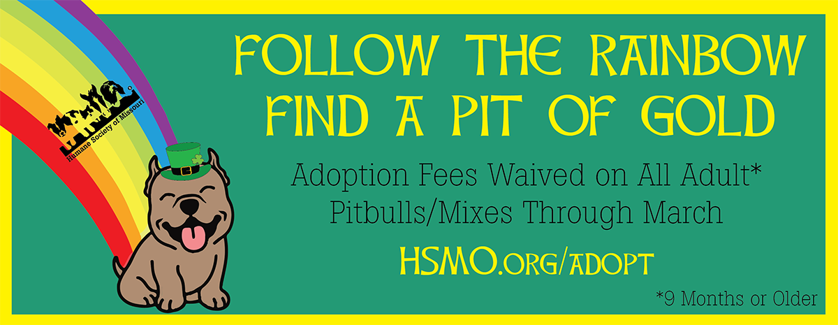 St. Louis Pet Adoption: Humane Society of Missouri St. Louis Pet Adoption: Humane Society of Missouri