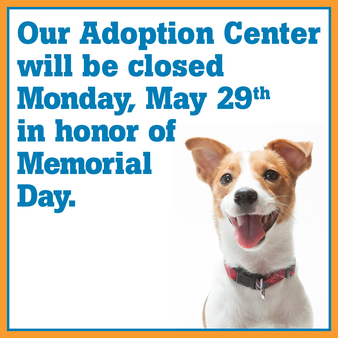 Our adoption center will be closed Memorial Day May 29th in honor of Memorial Day.